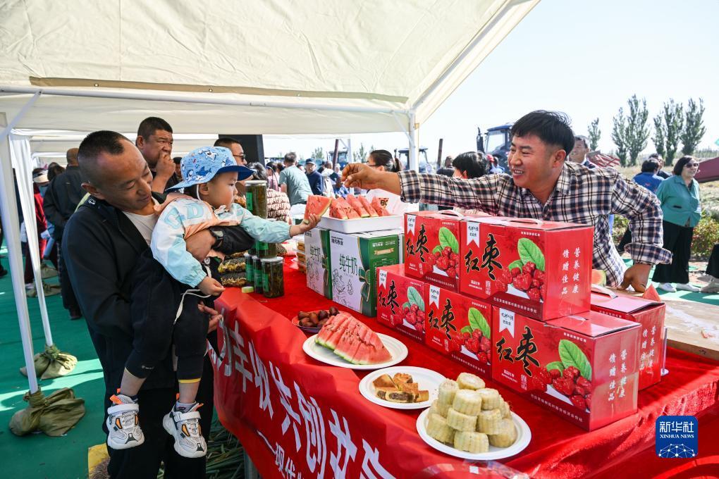 集结娱乐网站是多少